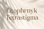 Typhone Font