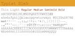Typist Slab Font