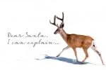 Under the Mistletoe Font
