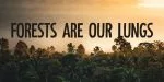 Understory Font