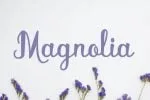 Undestand Font