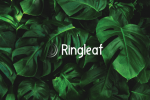 United Font Family
