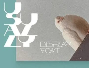 Usually Display Font