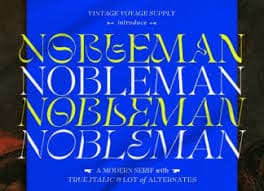 VVS Nobleman Font