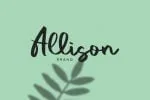 Vacation Font