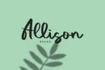 Vacation Modern Script Font