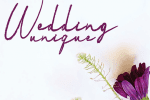 Vadimbrush Handwriting Font
