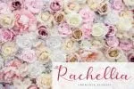 Valentine Soul Font