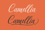 Valiie Font