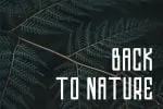Valkrye Modern Font