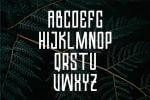 Valkrye Modern Font