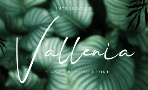 Vallenia Script Font