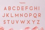 Vallessa Font