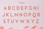 Vallessa Font