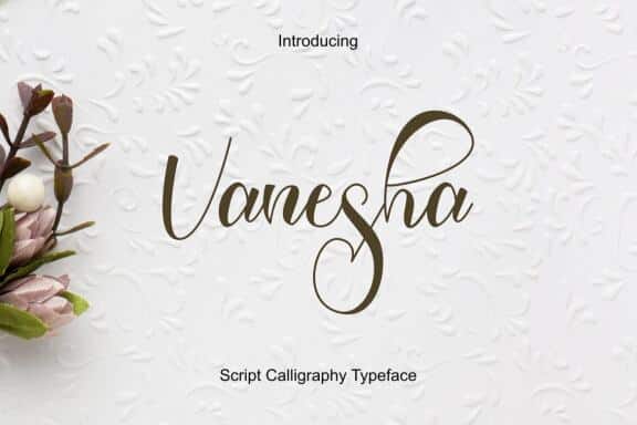 Vanesha Script - Lettered Calligraphy Typeface Font