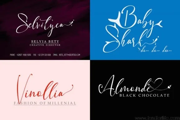 Vanilla Mermaid Beautiful Script Font