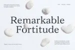 Vanio Font