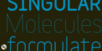 Variable Font
