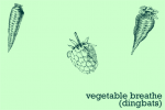 Vegetable Breathe Font