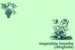 Vegetable Breathe Font