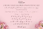 Vellesa Script Font