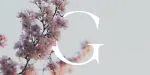 Velour Font