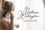 Venettica Signature Romantic Script Font