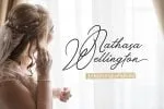Venettica Signature Romantic Script Font