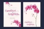 Venoisse Font