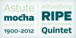Verb Font Family
