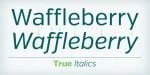 Verb Font Family