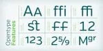Verb Font Family