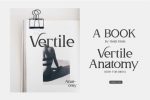 Vertile Font