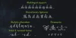 Veryberry Pro Font