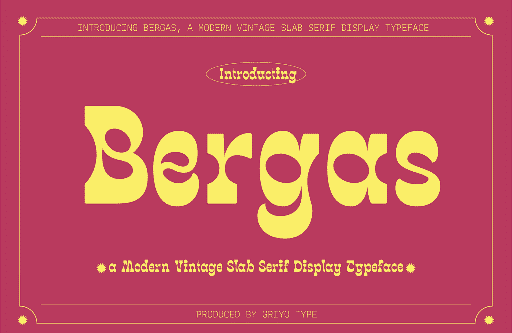 Vesna Barlas Bergas Funky Typeface