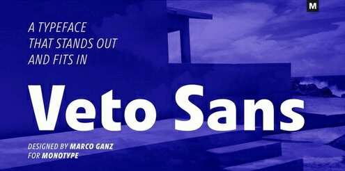 Veto Sans Font