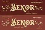Vianor Font