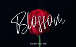 Victory Rose SVG Brush Font