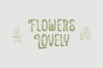 Vignellya Fancy Flower Font