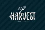 Vignellya Fancy Flower Font