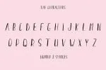 Vinpet Font