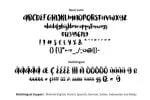 Vintage Brush Font