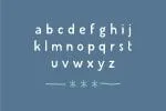 Vintii Extended Font