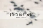 Violetail Script Font