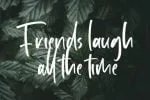 Virginity Font