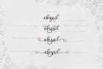 Visalia Font