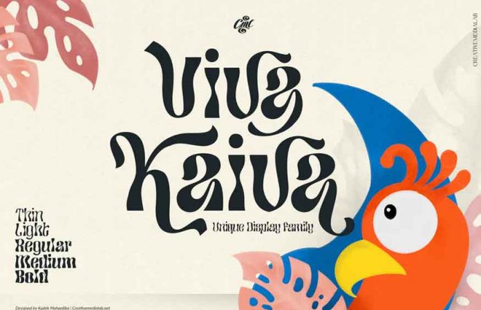 Viva Kaiva - Funky Retro Family