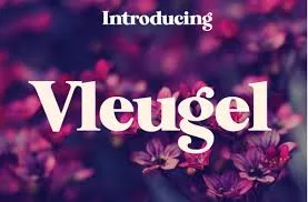 Vleugel Font