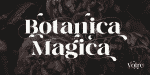Voire Display Family 18 Styles Font