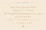 Volgue Font